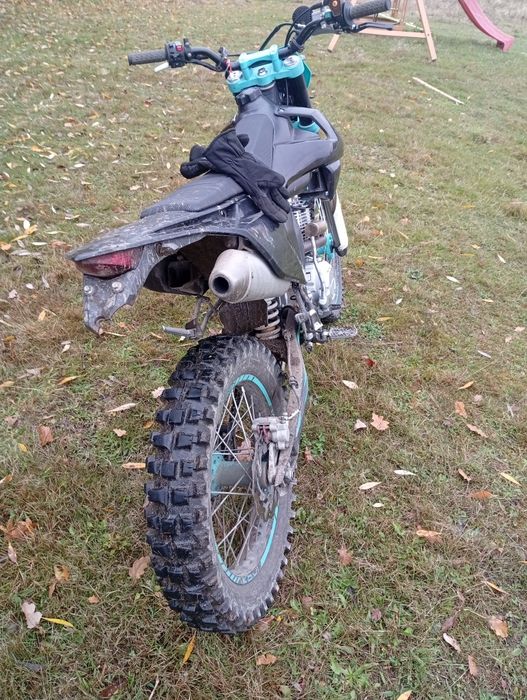 Продам Кові старт 250