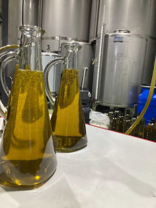 Azeite extra virgem biológico