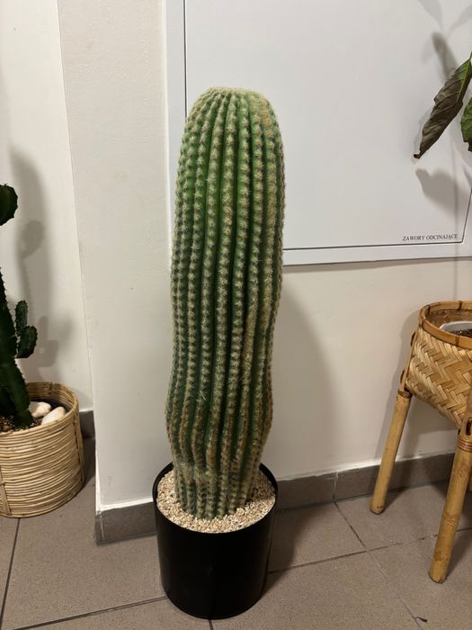 Kaktus duży sztuczny