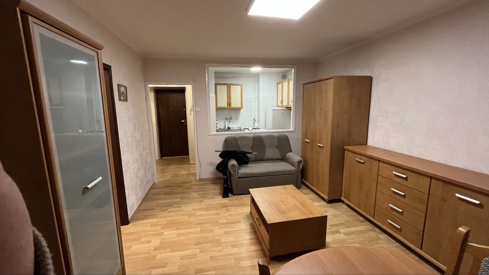 Apartment in Łódź, Doły, Bałuty - Widok 2