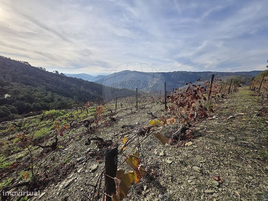 Terreno  para venda — Covas do Douro, Vila Real
