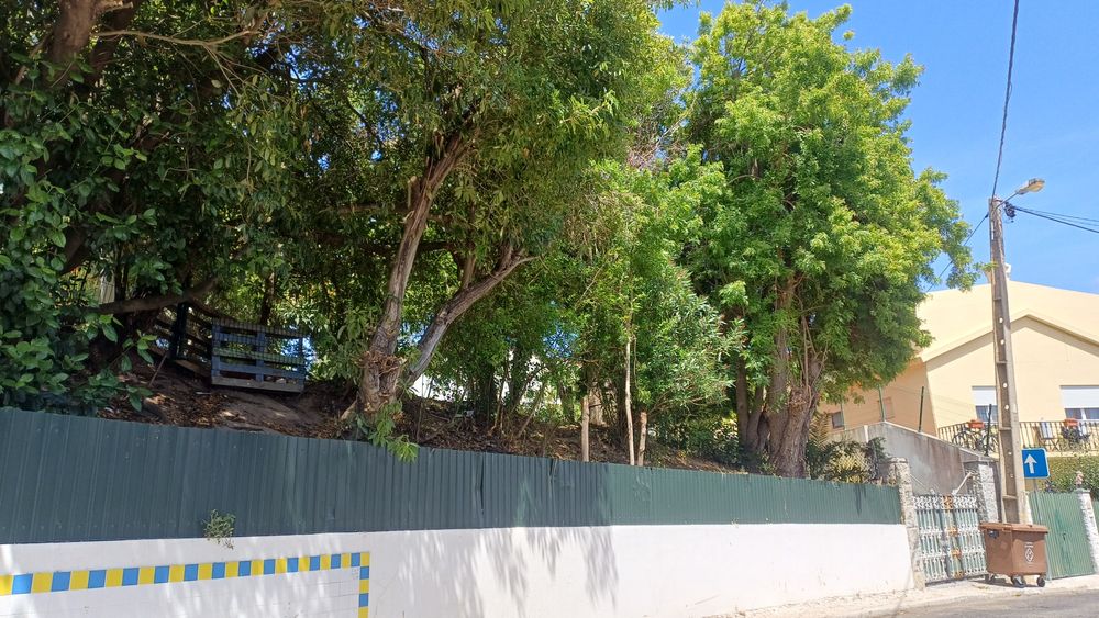 Quarto para arrendar em Carcavelos – excelente localização