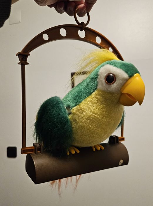 Talking bird - Papagaio que fala
