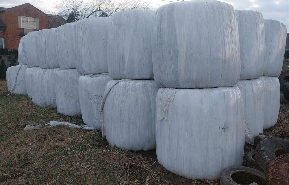 Trawa  i regras pryzmy i bele sianokiszonka