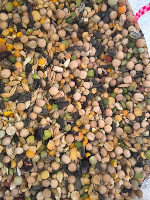 Karma dla gołębi mix grubszych ziaren 25kg