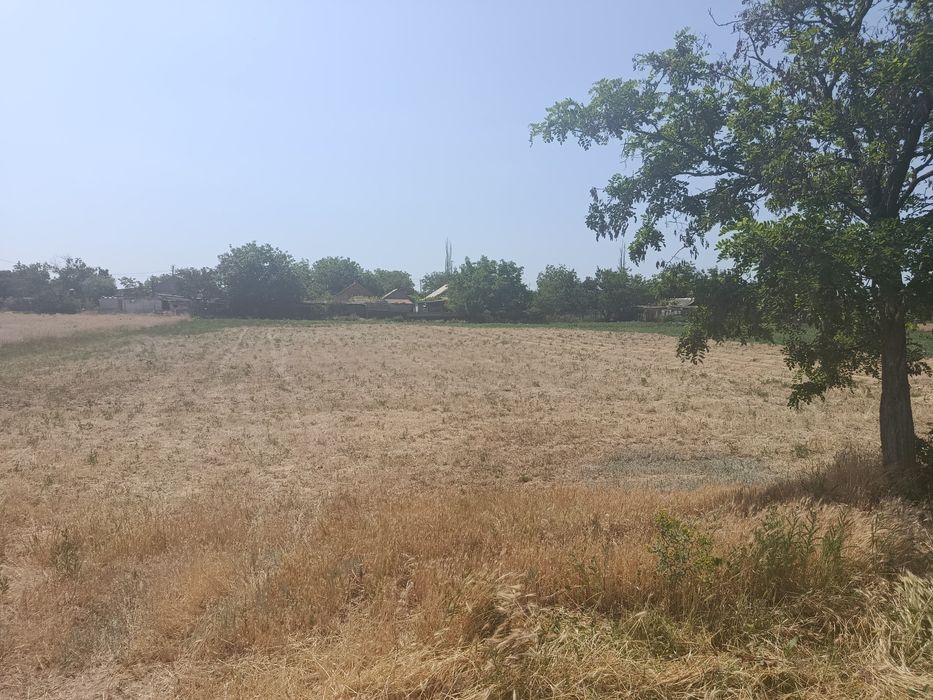 Продам дом в деревне