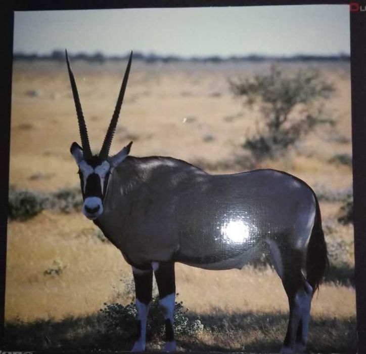 Selos de Angola 1992 – conjunto 45 selos