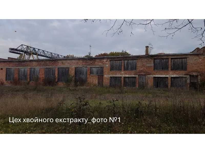 ПРОДАЖ - Цех стружки - майстерня РММ, їдальня та цех хвойного екстракту, площею 1289,0 кв.м. м. Володимир, вул. Сонячна, 1