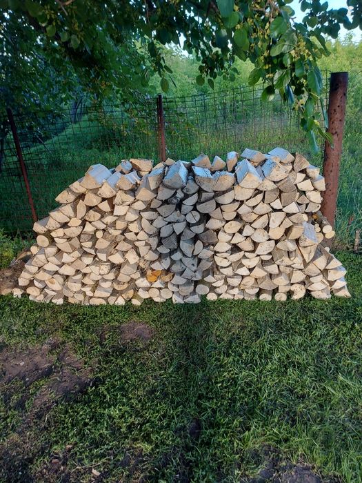 Продам колоті дрова клена