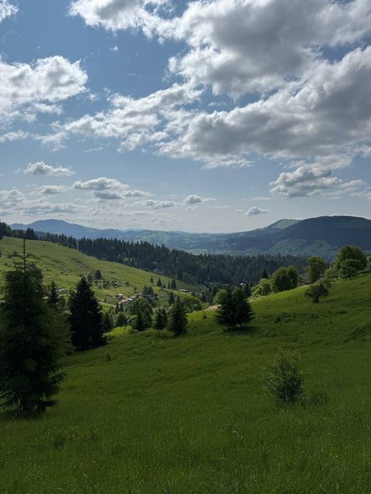 Велика ділянка, з двома потічками, доїзд легковим авто