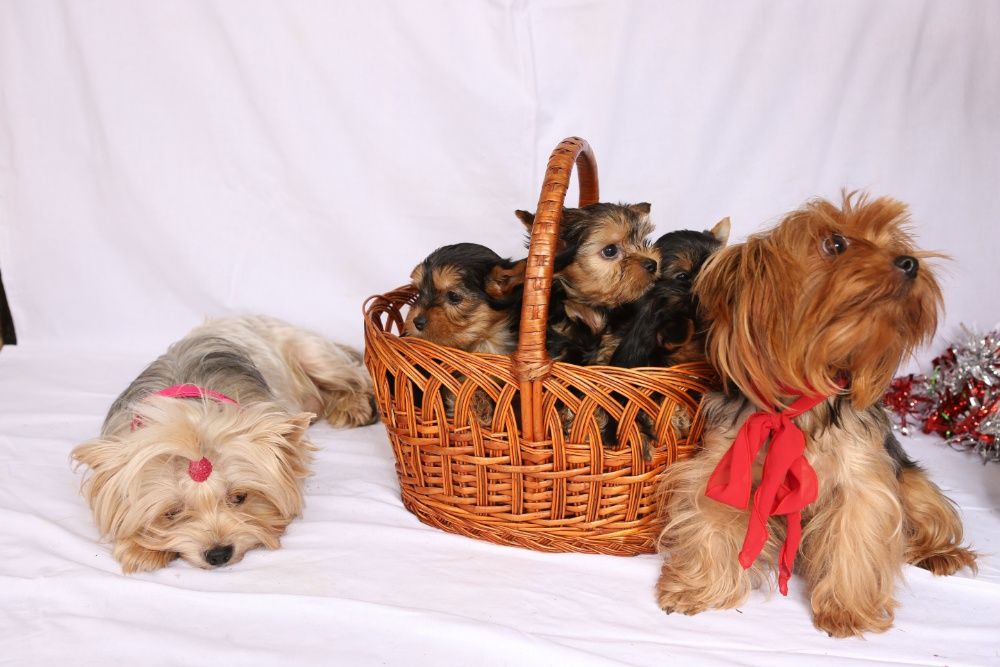 Мальчики и Девочки !