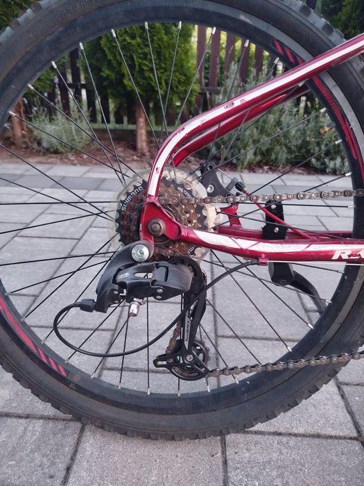 Rayon Viper Czerwony 24'' 2X Disc