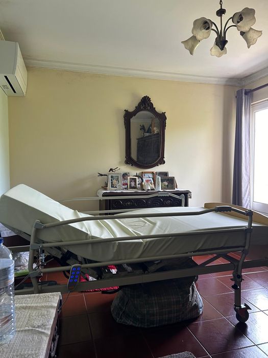 Cama ortopédica electrica