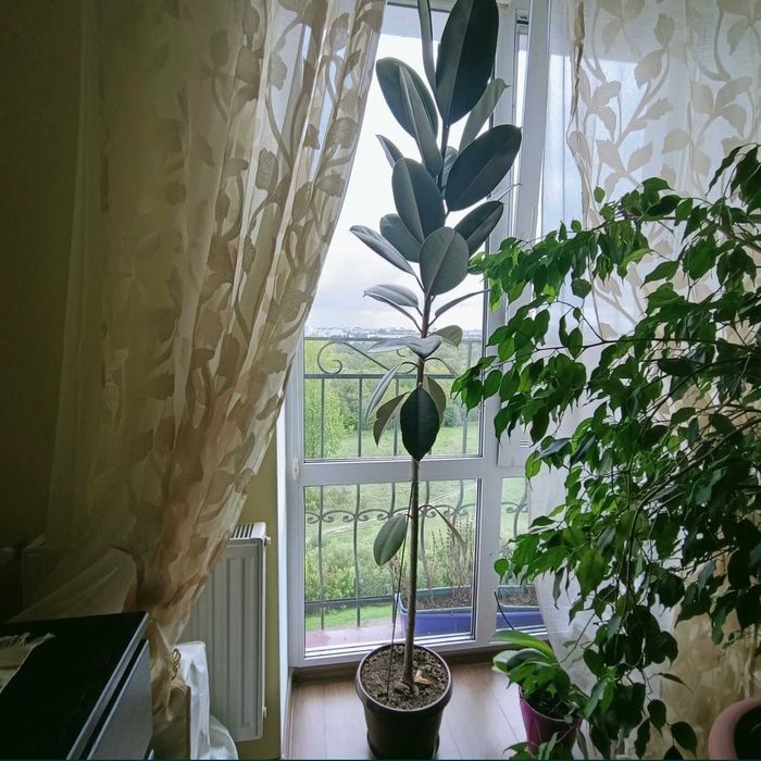 ПРОДАЖ 2к квартири, по вул. Пасічна біля озера