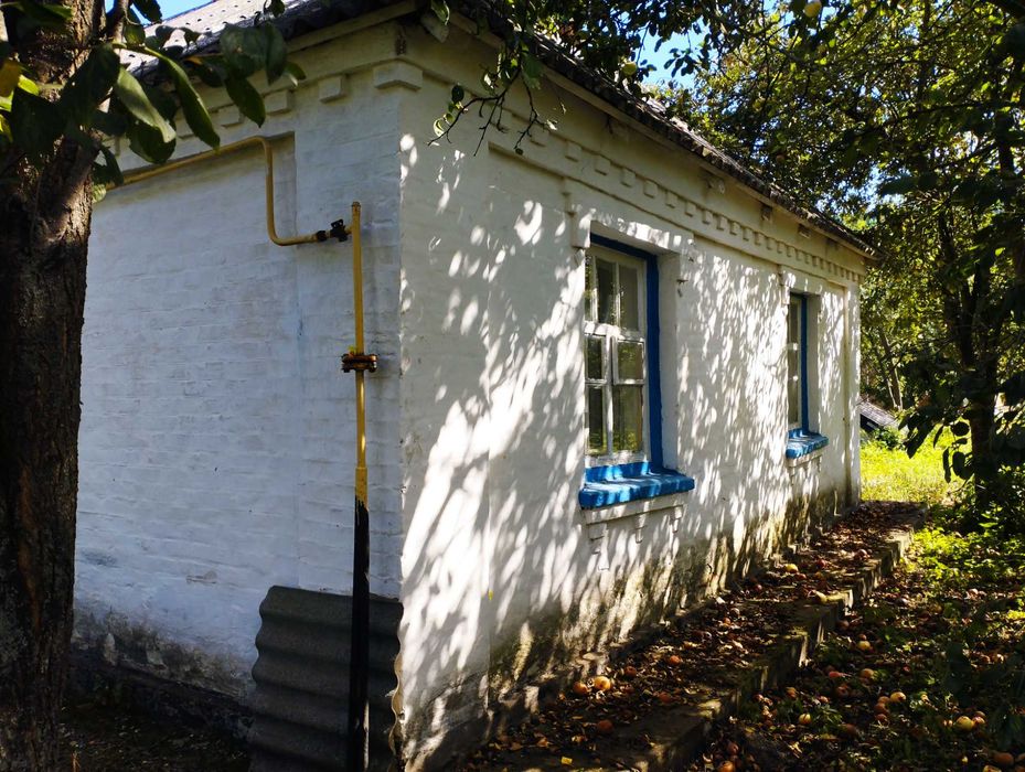 Продаю будинок в селі Северинівка Таращанського району