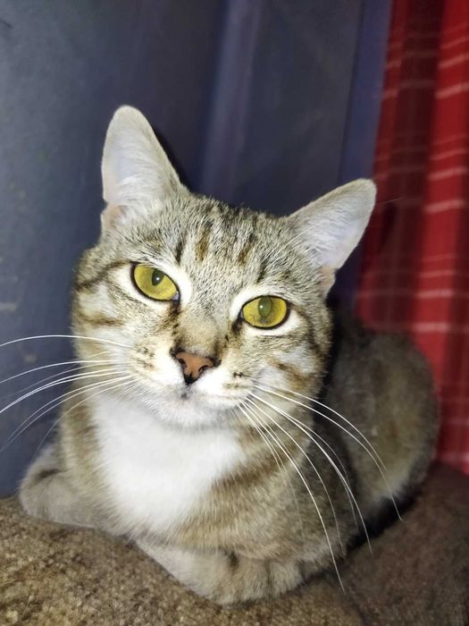 Пропал мой Друг, р-н Новые дома