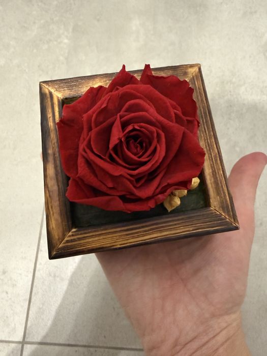 Kompozycja w drewnianej skrzynce - czerwona róża