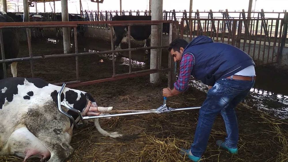 Wycielacz VINK ze zmiennym , stałym naciągiem, urządzenie porodowe
