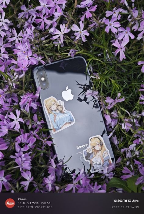 Iphone xs в идеале
