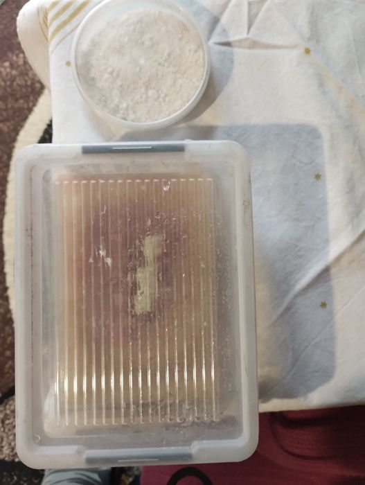 AULOFORUS żywy pokarm dla ryb