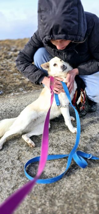 Amur i Bianca szukają wspólnego domu