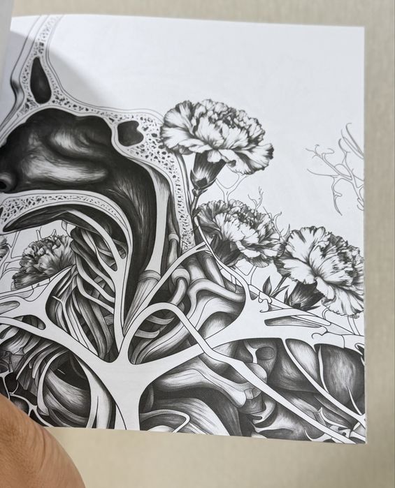 Розмальовка Human anatomy