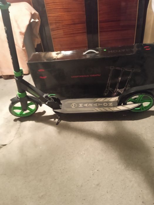 Самокат звичайний.
