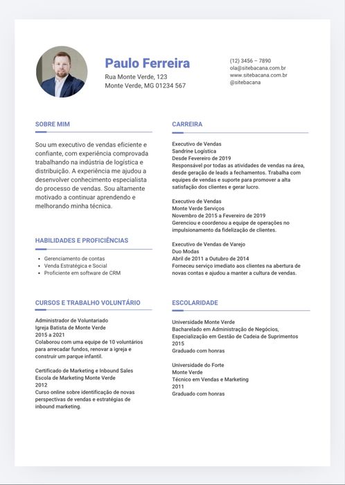 CV e Carta de Motivação Profissional — Entrega em 24h