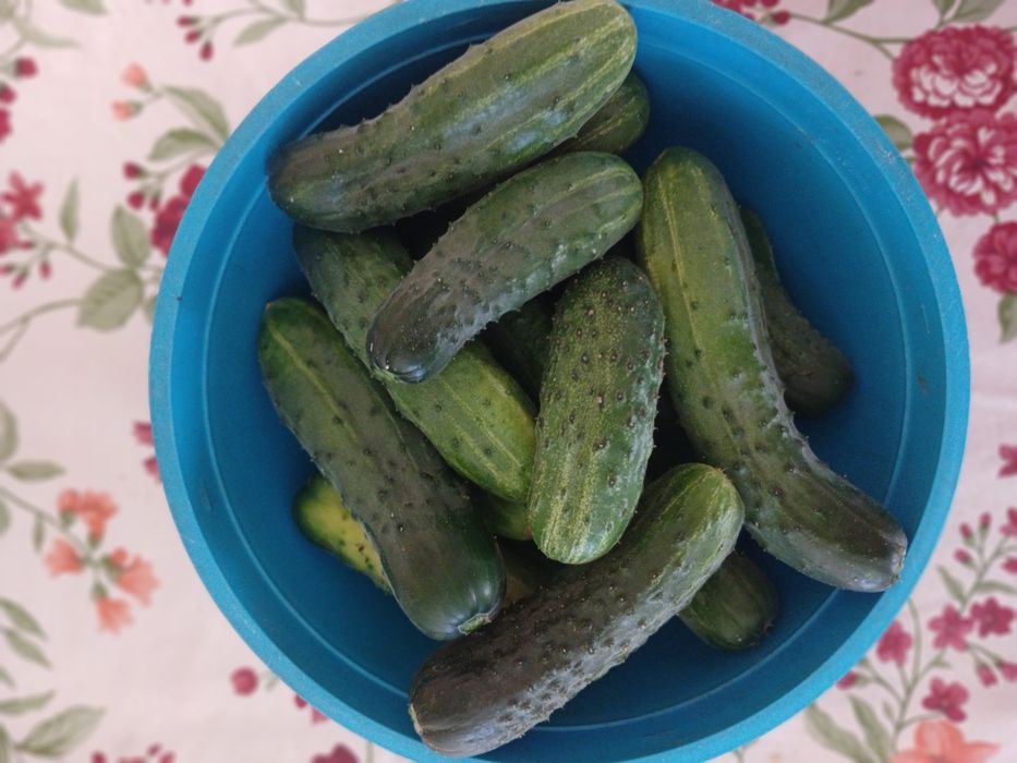Продам огірочки, дуже смачні, домашні, без хімії
