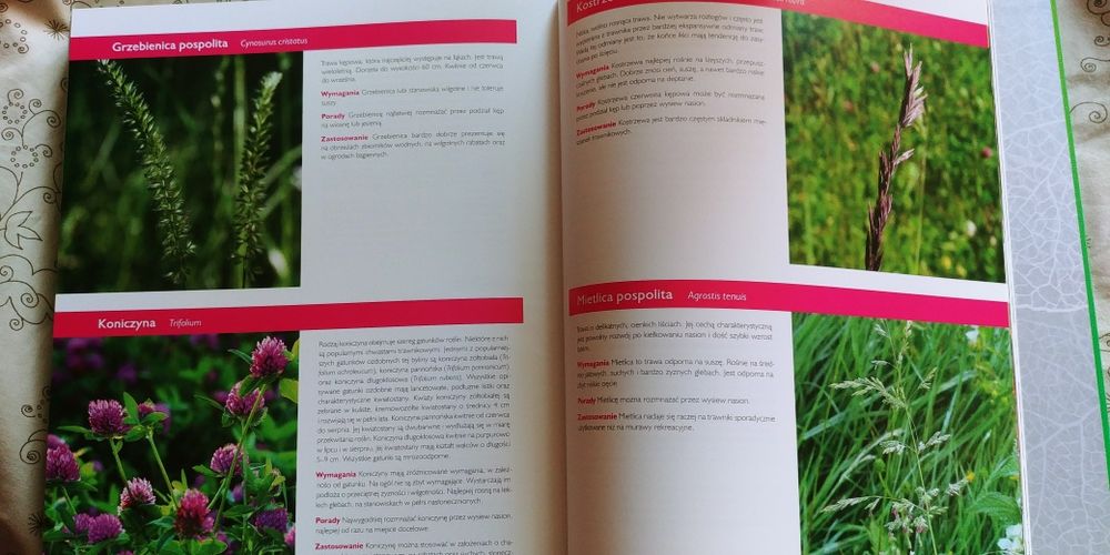 Książka Encyklopedia ogrodu