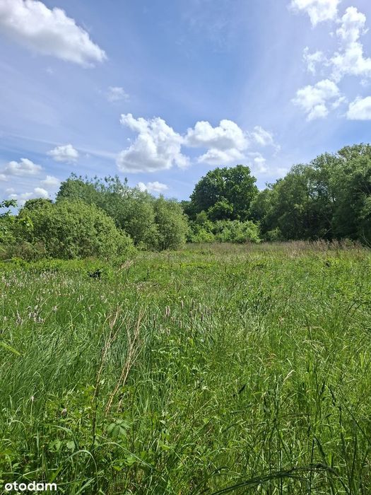 Przestronny dom 260 m² z ogrodem