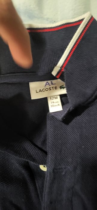Polo menino lacoste 12meses
