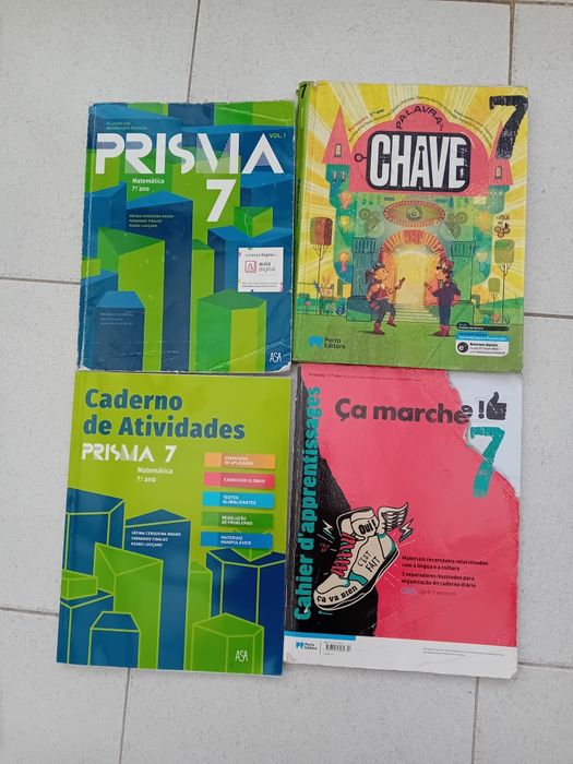Conjunto de cadernos de quinto sexto e sétimo ano