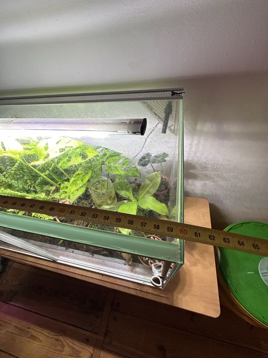 Terrarium tropikalne/botaniczne