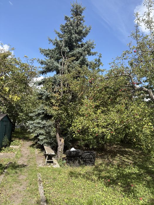 Działka ogródek działkowy ROD os. Rąbin Inowrocław 700 m² - View 5