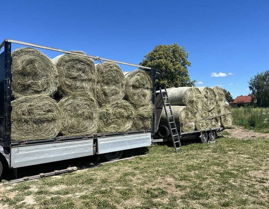 Sprzedam siano w rolkach