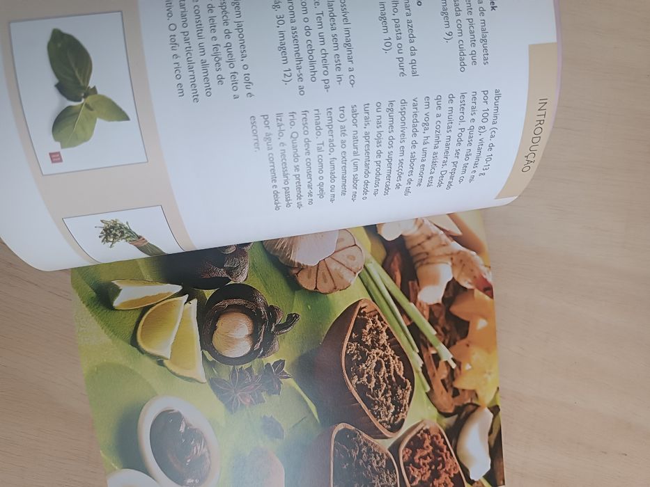 Livro" WoK"  as melhores receitas da cozinha asiática