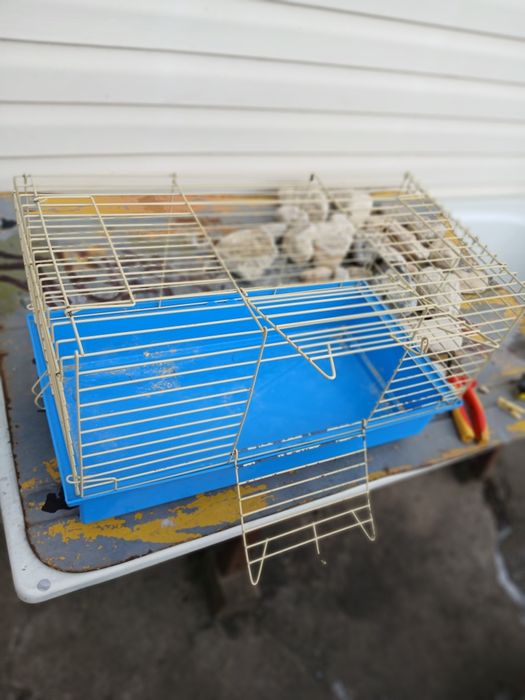 Клітка для хом'ячків