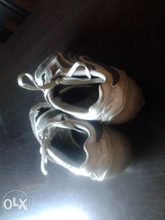 Buty puma 38 rozmiar.