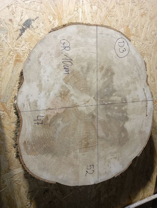 Plaster drewna bukowego D3