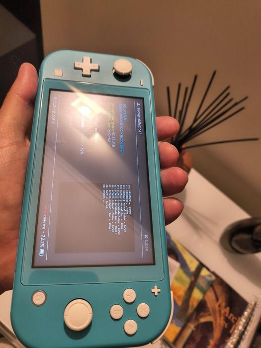 Switch Lite desbloqueada