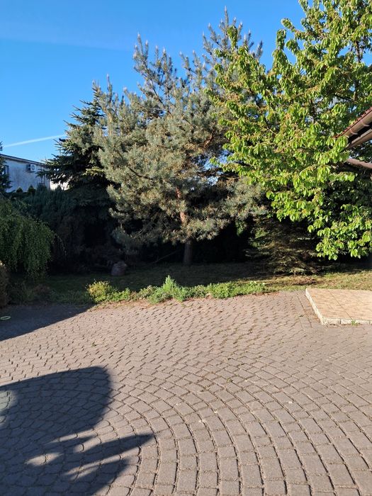 Prace ogrodowe ,usługi sprzątania ,porządkowania