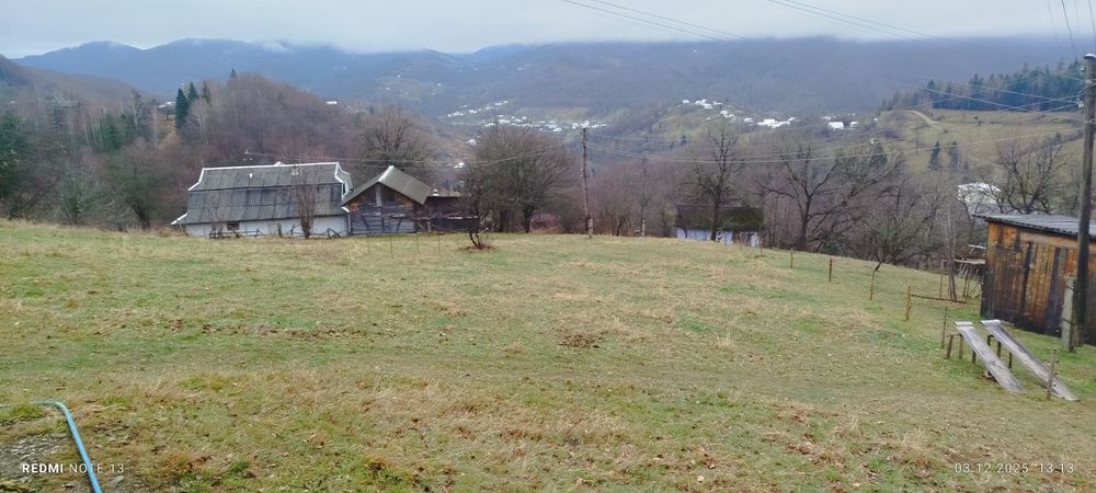 Будинок в Карпатах