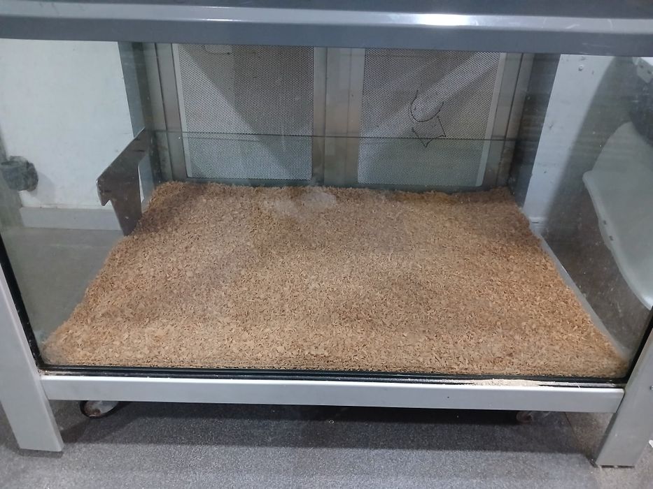 Expositor / Bateria roedores e repteis