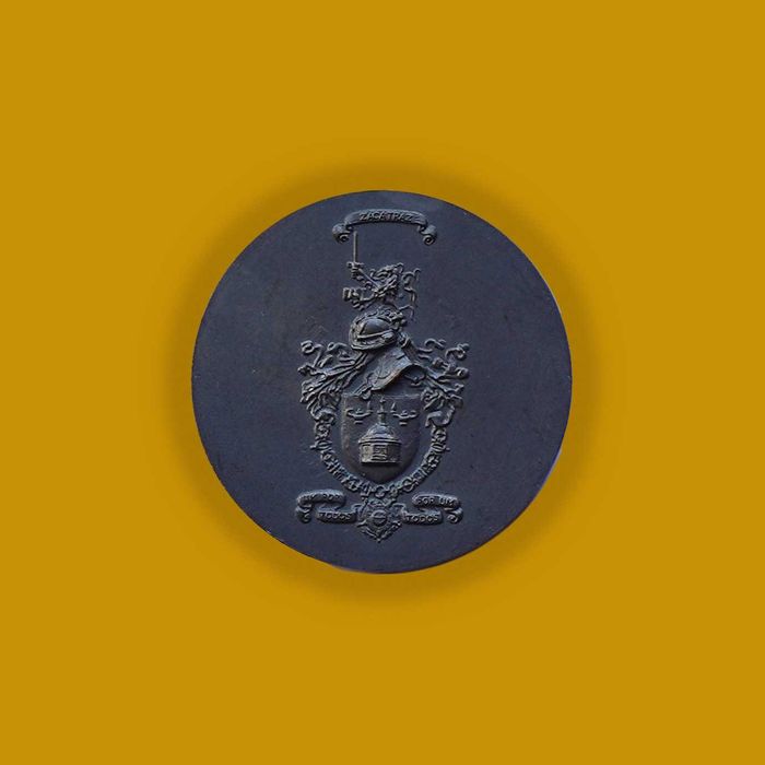 M31 Medalha Institucional