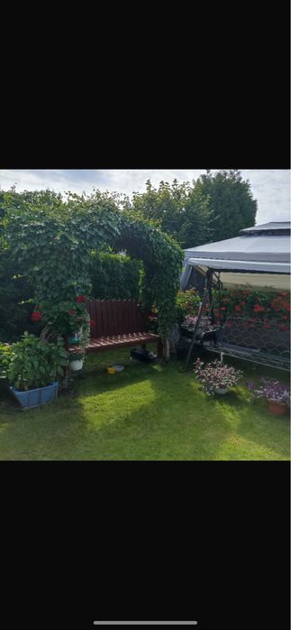 Na sprzedaż Działka ROD RELAX Szałe