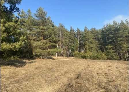 Ділянка під забудову в Лісі