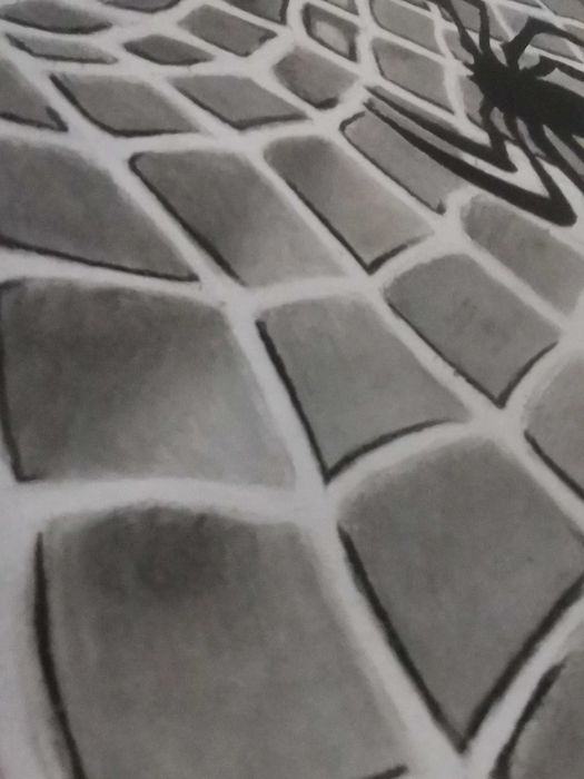 Desenho realista Homem-aranha Feito à mão Com quadro incluído