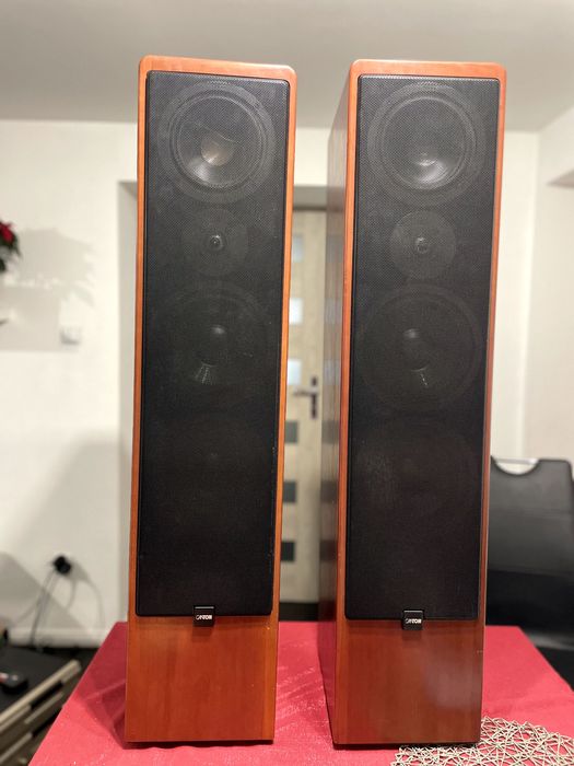 Kolumny Canton Ergo 902 DC