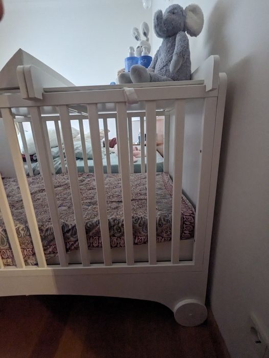 Berço Evolutivo  Trama